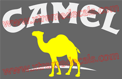 2 Colour Camel Decal