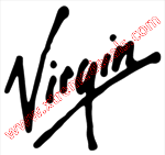 Virgin Decal