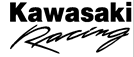 Kawasaki Racing Decal