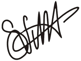 Sebastian Vettel Autograph Decal