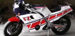 Honda Motorbike Decal