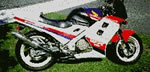 Honda Motorbike Decal